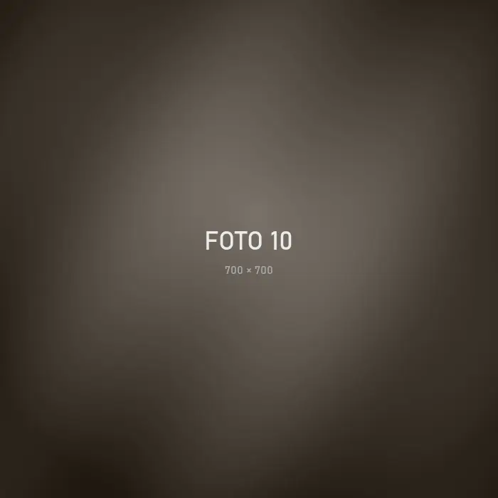 Proyecto ALLAS 10